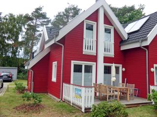 Stranddistel - Glowe - 9