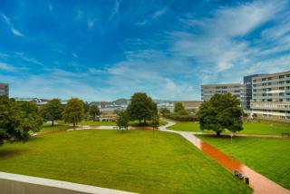 Ferienpark - Haus H, App 0H0306 - 9