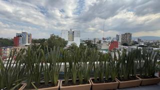 Casa Umbral Glampings - Città del Messico - 1