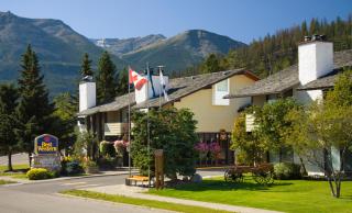 Jasper Inn & Suites by INNhotels - Jasper - 9