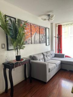 Alquiler temuco - 8
