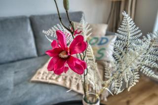 Haus Ostseeresidenz, App 3OSR117 - 7