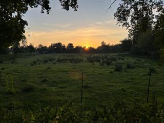 Meedehof Moorhausen, WH Ziegenstall - 7