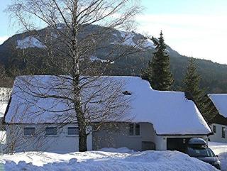 Ferienhaus Gamssteige im Feriendorf Reichenbach G16 - Nesselwang - 3