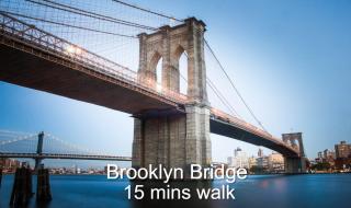 Spacious 4BR Stay in Lower Manhattan - New York - 3