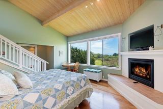 Deer View Hot Tub & Filtered Ocean Views - Sea Ranch - 8