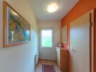 Sonnenblume_DH - Groß Kelle - 9