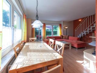 Sonnenblume_DH - Groß Kelle - 8