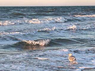 Strandwohnung direkt am Meer - Whg 33 - 4