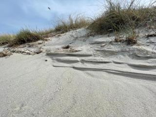 Strandwohnung direkt am Meer - Whg 33 - 1