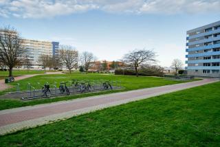 Ferienpark - Haus N, App 0NEG03 - Heiligenhafen - 0