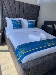 Radiance Star Homes-studios near JKIA, Nairobi - Nairobi - 8