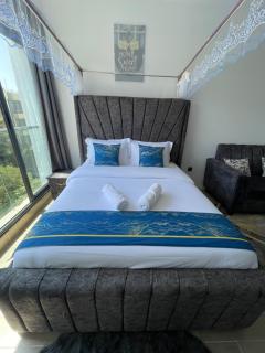 Radiance Star Homes-studios near JKIA, Nairobi - Nairobi - 0