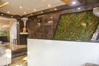 Hotel O The Bentree - Bhopal - 1