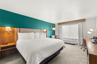 Holiday Inn Austin North by IHG - Round Rock - 5