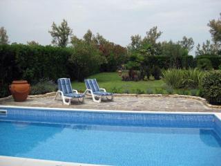 Belvedere - 4