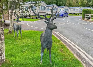 Lemonford Caravan Park - Bickington - 5