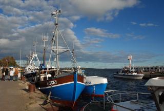 schöne Ferienwohnungen im Zentrum von Rügen - Thesenvitz - 4