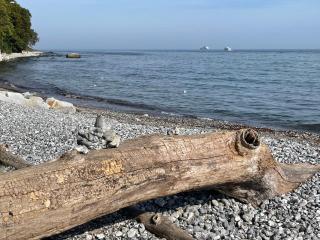 Sonnige Ferienwohnung am Nationalpark - Sassnitz - 9