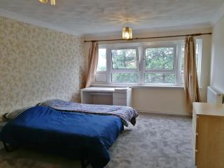 Glasgow Braid Apartment - 6
