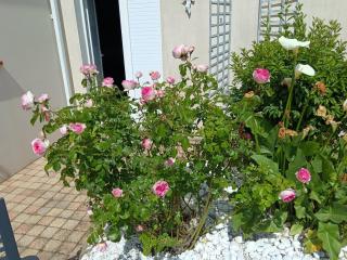 Le Secret des Marees - 1