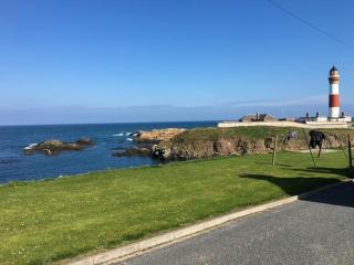 Seaside Cottage Retreat in Peterhead - Peterhead - 8