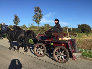Ferienhaus 1 _ Ferien im Gutspark - 1