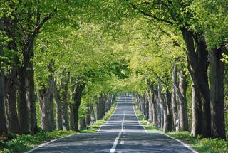 großes Ferienhaus mit Terrasse am Granitzwald - Blieschow - 7