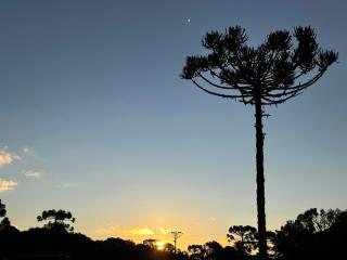 Cabana De luxo Black BIRD II Morro da Igreja com Banheira de hidromassagem - 4