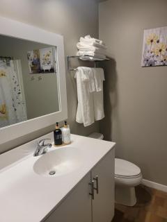 Ann Arbor's Humble Abode - 4