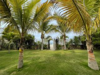 Serene 1BR Hammock near Palm Beach - 0