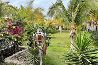 Serene 1BR Hammock near Palm Beach - 1