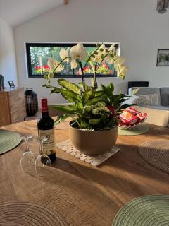 Gîte les pins - Maison cosy et calme à Ardres - 9