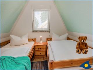 Reetdachhütte im Birkenhain - Trassenheide - 1