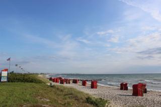 Ferienwohnung Ostseeglück - Schönhagen - 9