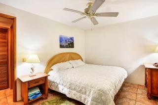 The Turquoise Turtle- AC-Pool-Ocean View - Koloa - 7