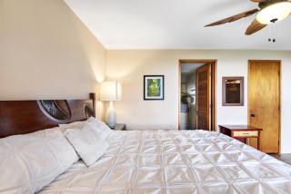 The Turquoise Turtle- AC-Pool-Ocean View - Koloa - 2