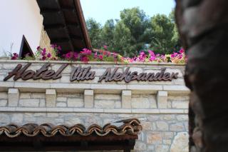 Boutique Hotel Vila Aleksander - 9