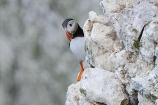Country Cottage near Yorkshire Coast - Bridlington - 9