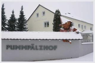 Pummpälzhof - 4