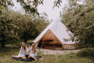 Arkadia Maciejówka Glamping - - 9