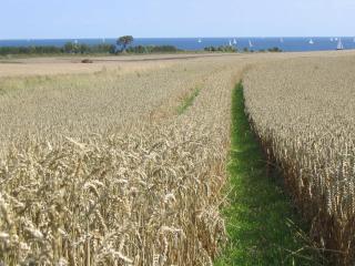 Ferienwohnung Strandglück - 7