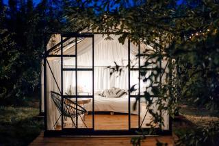 Arkadia Maciejówka Glamping - - 5