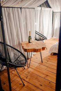 Arkadia Maciejówka Glamping - 4