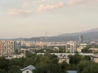 Live Almaty - Almaty - 5