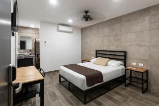 Capital Hotel Saltillo - Saltillo - 5