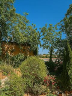 Havre de Khadouja - Tlemcen - 9