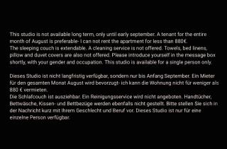 New Dreamy furnished studio, Bonn-Center, August only - Bonn - 9