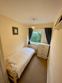 Bright Apartment near Lewisham Station - Londra - 1
