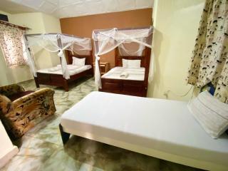 Gorilla African Guest House - 1